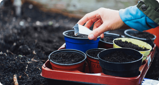 Home Depot Soil Delivery vs Garden Bag Comparison [2024]