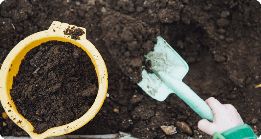 Earthco Soil Delivery vs Garden Bag [2024]