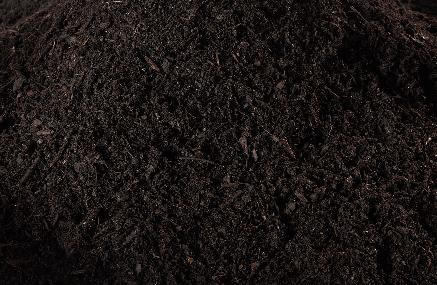 OverseedingSoil-Detail