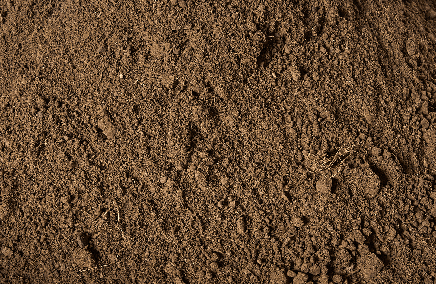 TopSoil-detail