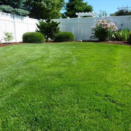 overseeding-soil-lawn-1