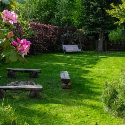 overseeding soil kit