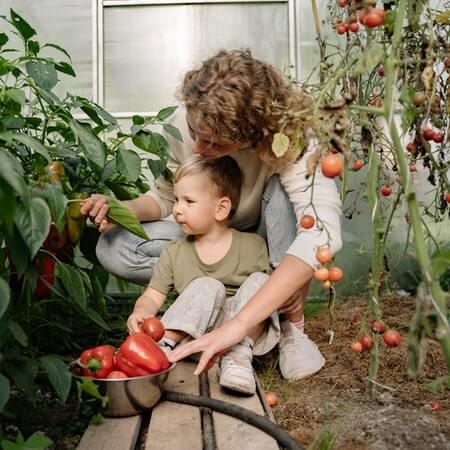 organic-soil-blend-lifestyle-2